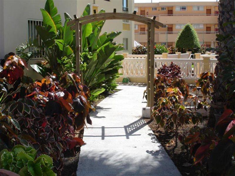 Apartamento Los Ficus Playa Del Inlges Playa del Ingles  Luaran gambar